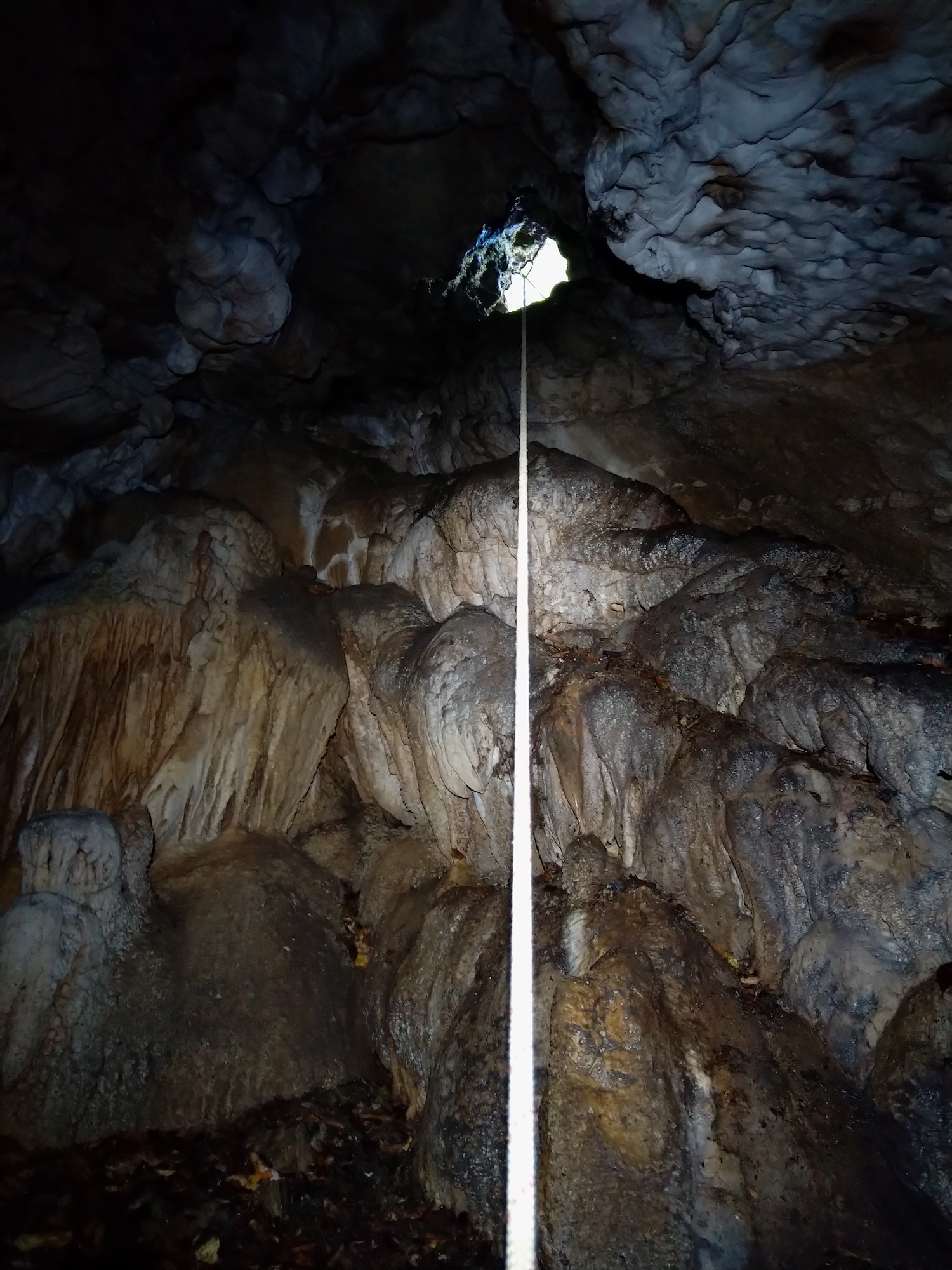 Peștera Nr.8 din Valea Toplița (Avenul Salamandrei) - Image 12